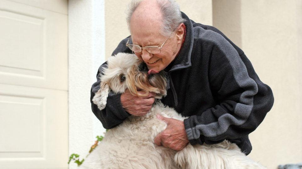Польза домашних животных для пожилых людей
